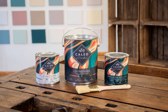 Dosen von Caleo Color